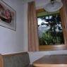 SkiWelt Wilder Kaiser-Brixental  - Salvenmoser Johanna, Ferienwohnung