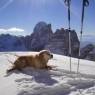 Val di Fassa - ALBERGO ASTORIA - RISTORANTE DE TOFI