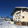 Schladming-Dachstein - Alpenblume