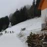 Schladming-Dachstein - Appartement Berghold - Haus am Skiweg