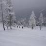 Flachau - Holiday, Appartements