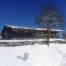 SkiWelt Wilder Kaiser-Brixental  - Krumpenhof - Salvenmoser Ingrid