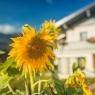 Schladming-Dachstein - Gasthof-Pension Kitzer