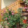 Schladming-Dachstein - Ferienwohnung Klinglhuber