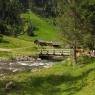 Schladming-Dachstein - Höflechner, Potzalm