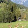 Schladming-Dachstein - Lacknerhof - Fam. Etschbacher
