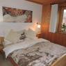 SkiWelt Wilder Kaiser-Brixental  - Ferienhaus Going