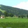 Flachau - Gotthardt, Appartements