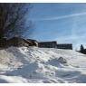 SkiWelt Wilder Kaiser-Brixental  - Appartement Lilo