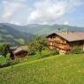 SkiWelt Wilder Kaiser-Brixental  - Siedlerhof -  Erharter Christine