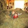 SkiWelt Wilder Kaiser-Brixental  - Biobauernhof Harasshof