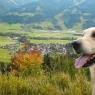 Schladming-Dachstein - Stieglerhof