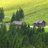 Schladming-Dachstein - Höflechner, Potzalm