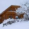 Schladming-Dachstein - Ferienhaus DIETRICH