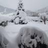 SkiWelt Wilder Kaiser-Brixental  - Ferienwohnung Springer