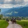Schladming-Dachstein - Gästehaus Aigner