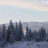 SkiWelt Wilder Kaiser-Brixental  - Appartement Viktoria