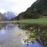 Schladming-Dachstein - Chalet Schladming-Rohrmoos