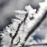Schladming-Dachstein - Familien & Wanderpension Purkhardt