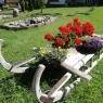 SkiWelt Wilder Kaiser-Brixental  - Pension-Gasthof Widauer