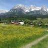 SkiWelt Wilder Kaiser-Brixental  - Kaiserchalet Dancy