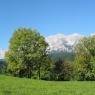 Schladming-Dachstein - Bioappartement Landhäusl
