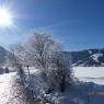 Flachau - Philips, Appartement
