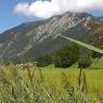 SkiWelt Wilder Kaiser-Brixental  - Haus KKW