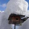 SkiWelt Wilder Kaiser-Brixental  - Apartment Anita