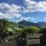 Schladming-Dachstein - Appartement Gaby