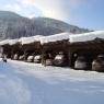 SkiWelt Wilder Kaiser-Brixental  - Schedererhaus, Appartements
