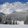 SkiWelt Wilder Kaiser-Brixental  - Appartement Viktoria