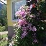 Schladming-Dachstein - Appartement Götzenbrucker-Stocker