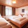 SkiWelt Wilder Kaiser-Brixental  - Appartements Told