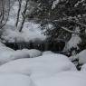 Schladming-Dachstein - Familien & Wanderpension Purkhardt
