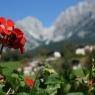SkiWelt Wilder Kaiser-Brixental  - Pension Schnapperhof