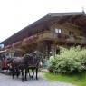 Kitzbühel - Bio-Bauernhof Schlögl