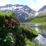 Schladming-Dachstein - Haus Grimmingblick