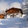 SkiWelt Wilder Kaiser-Brixental  - Feiersingerhof, Appartements