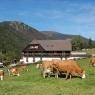Schladming-Dachstein - Der 