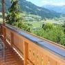 SkiWelt Wilder Kaiser-Brixental  - Ferienhaus Franbichl
