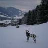 Schladming-Dachstein - Appartement Ingrid - Haus am Skiweg