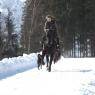 Schladming-Dachstein - Pürcherhof
