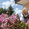 Schladming-Dachstein - Sonnenhof - Familie Seebacher