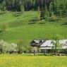 Schladming-Dachstein - Weitgasserhof