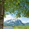 Schladming-Dachstein - Hüttstädterhof - Familie Pötsch