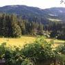 SkiWelt Wilder Kaiser-Brixental  - Buchau, Haus