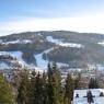Schladming-Dachstein - Ferienhaus Sasano