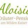 SkiWelt Wilder Kaiser-Brixental  - Pension Aloisia