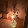 SkiWelt Wilder Kaiser-Brixental  - Appartement 
